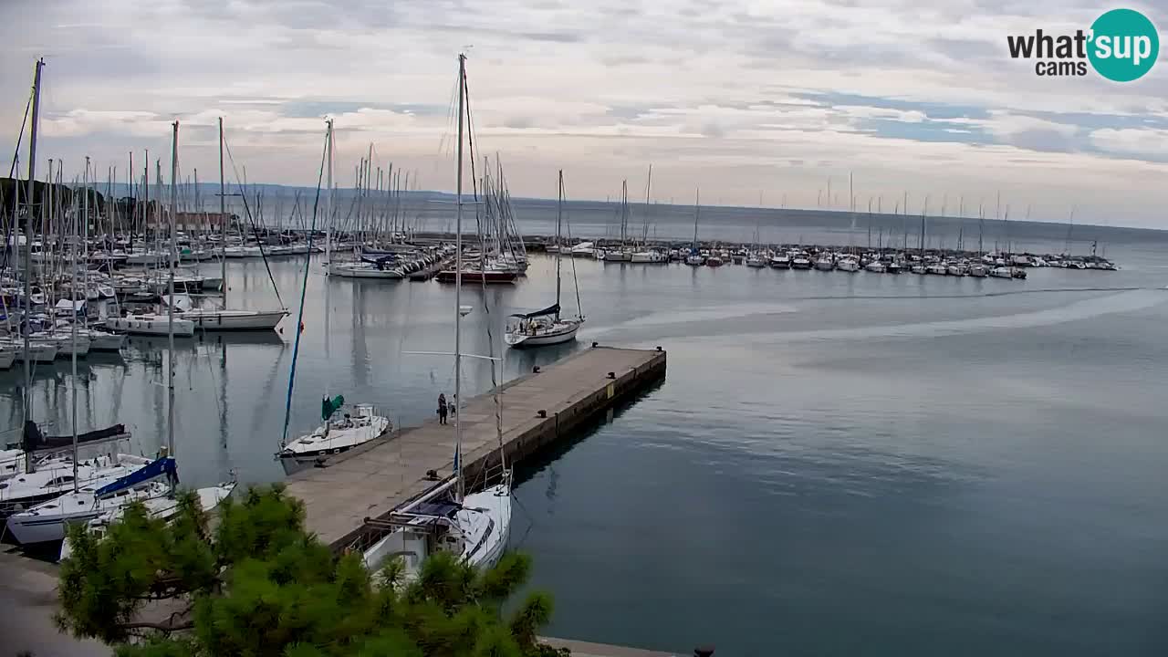 Webcam Sistiana Baia – Live View of the Marina and Gulf