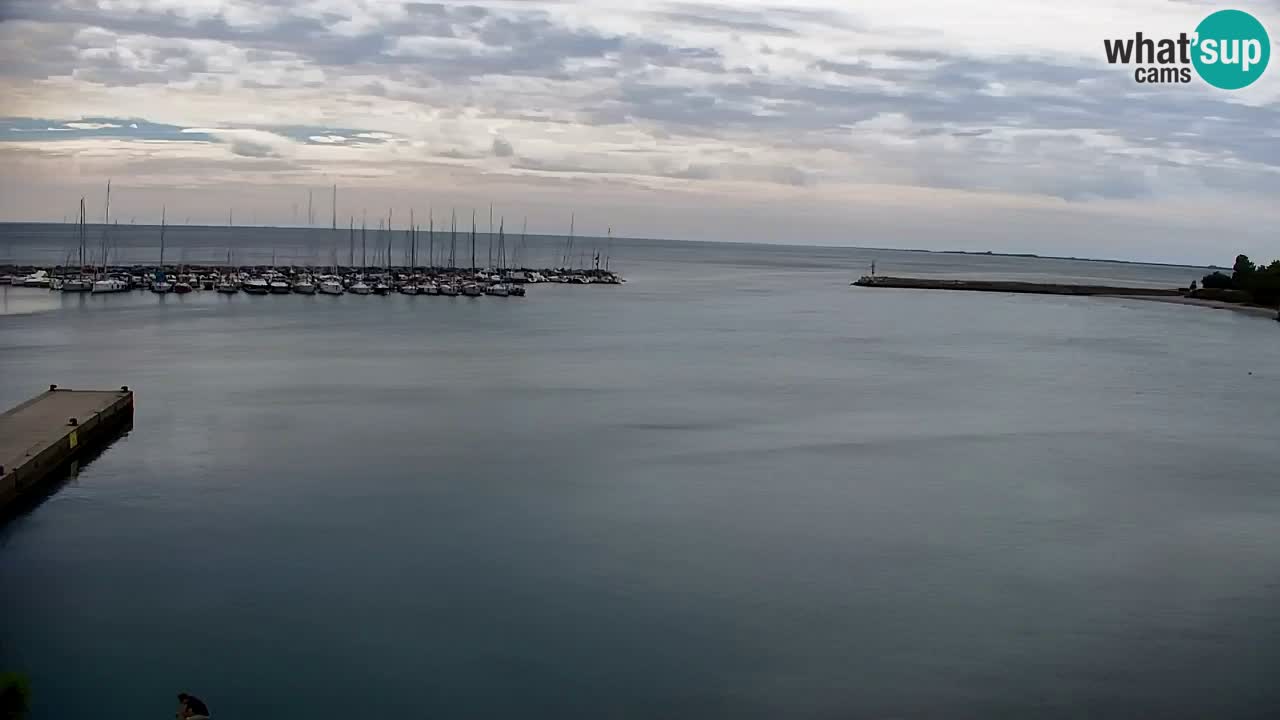 Webcam Sistiana Baia – Live View of the Marina and Gulf