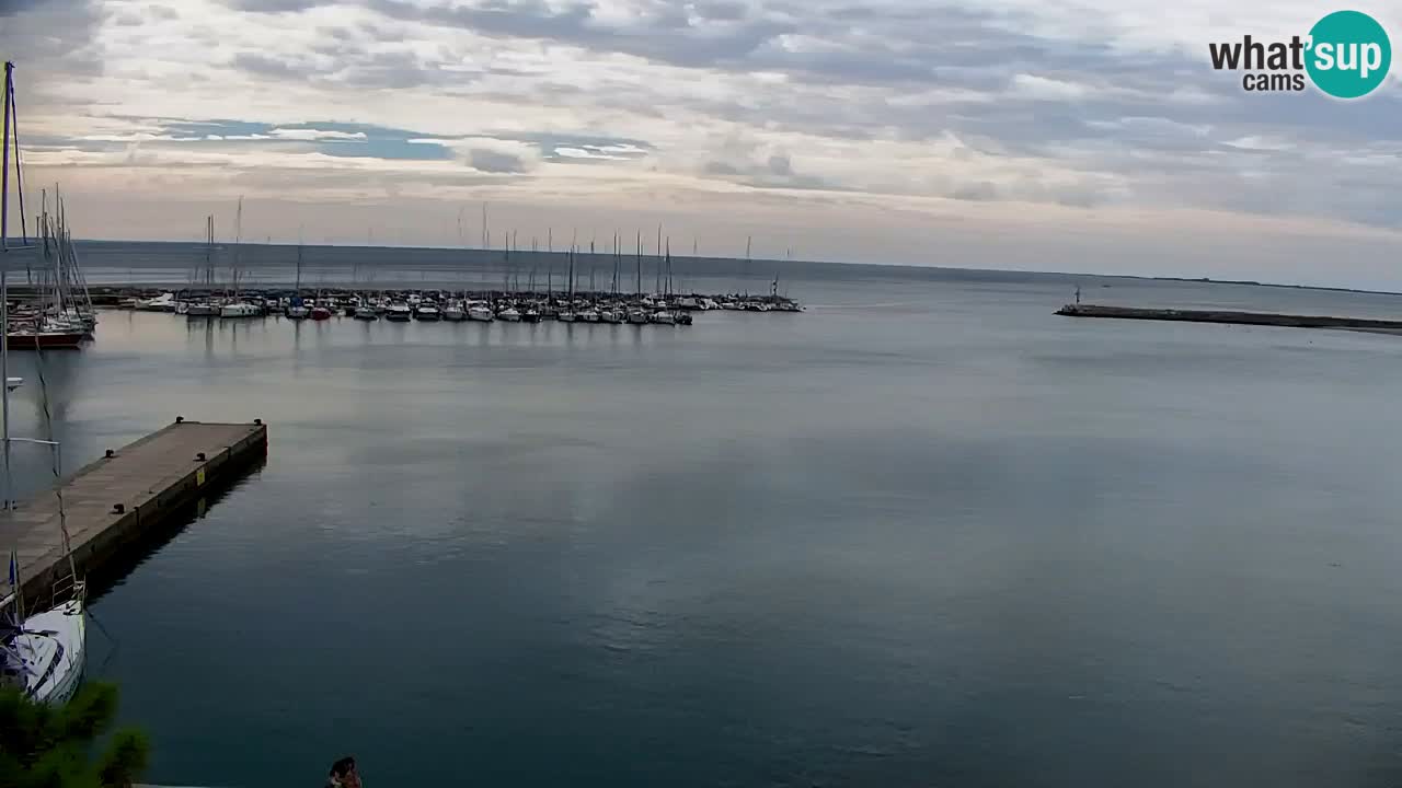 Webcam Sistiana Baia – Live View of the Marina and Gulf