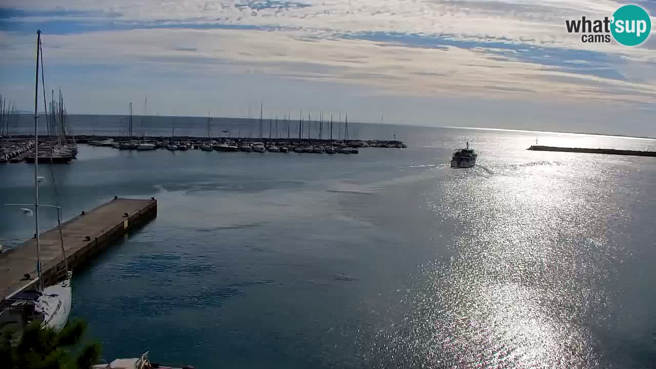 Webcam Bahía de Sistiana – Vista en directo del puerto deportivo y la costa
