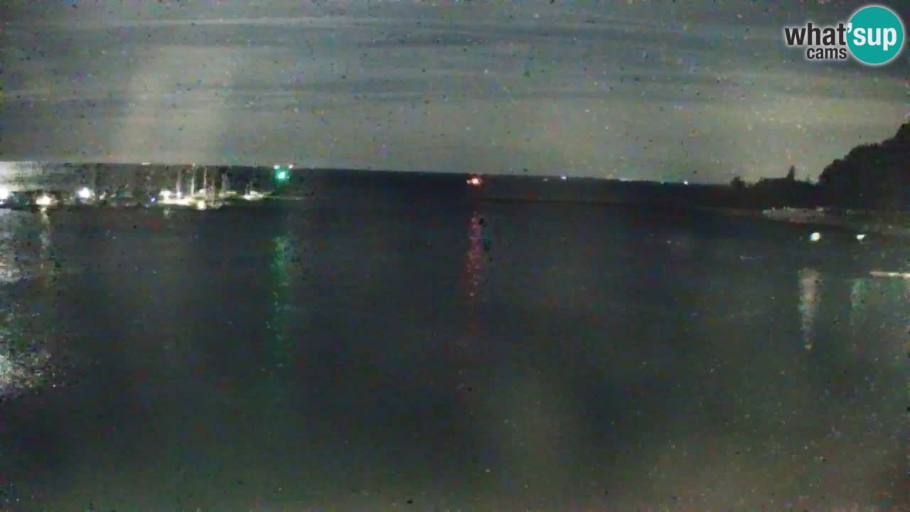 Webcam Sistiana Baia – Live View of the Marina and Gulf