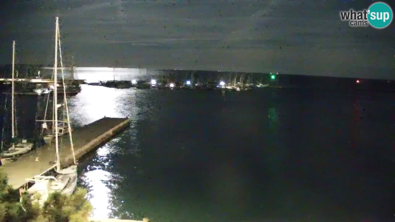 Webcam Sistiana Baia – Live View of the Marina and Gulf