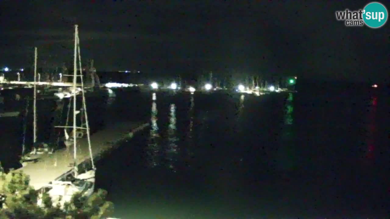 Webcam Sistiana Baia – Live View of the Marina and Gulf
