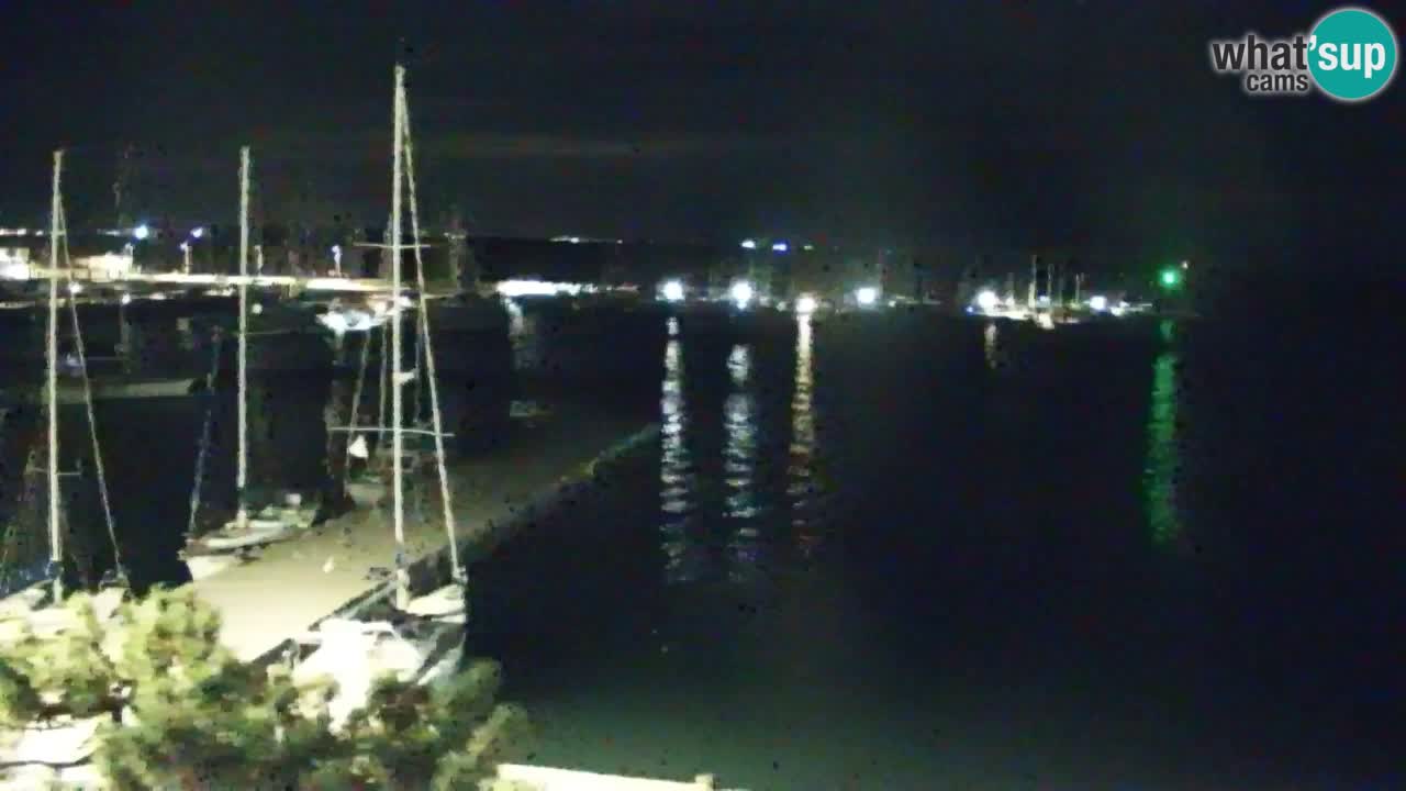 Webcam Sistiana Baia – Live View of the Marina and Gulf