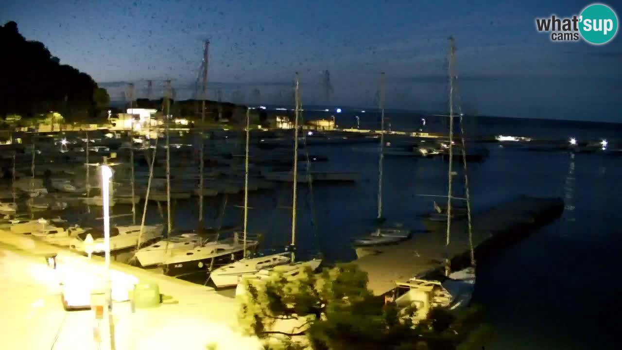 Spletna kamera Sesljanski zaliv – Pogled v živo na marino in zaliv