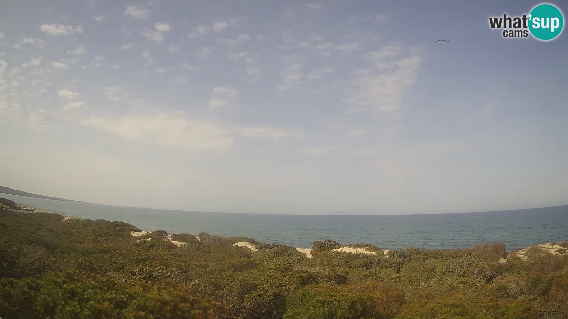 Villaplatamona, vista panoramica sul Golfo dell’Asinara, Platamona, Sorso, Sardegna – live webcam