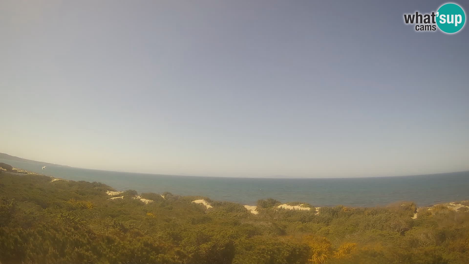 Villaplatamona, vista panorámica del Golfo de Asinara, Platamona, Sorso, Cerdeña – cámara web en vivo