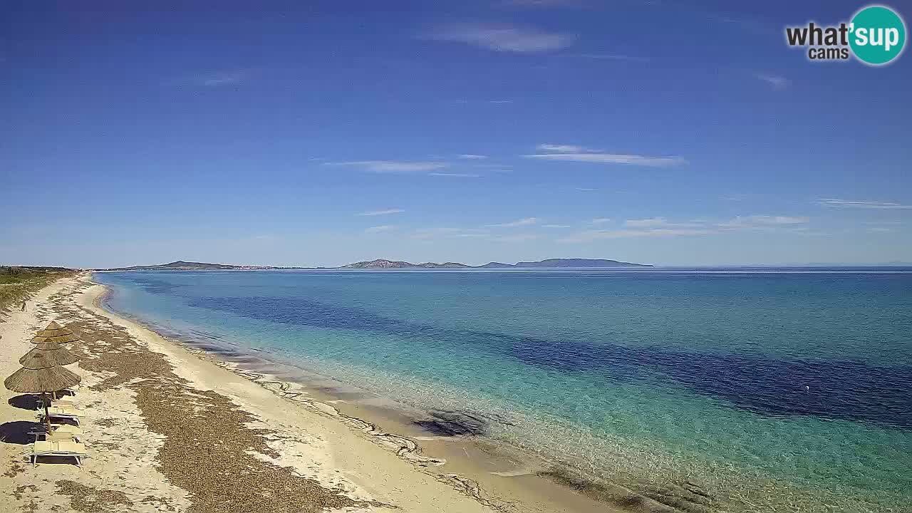 Beach Le Saline webcam live Stintino – Sardinia