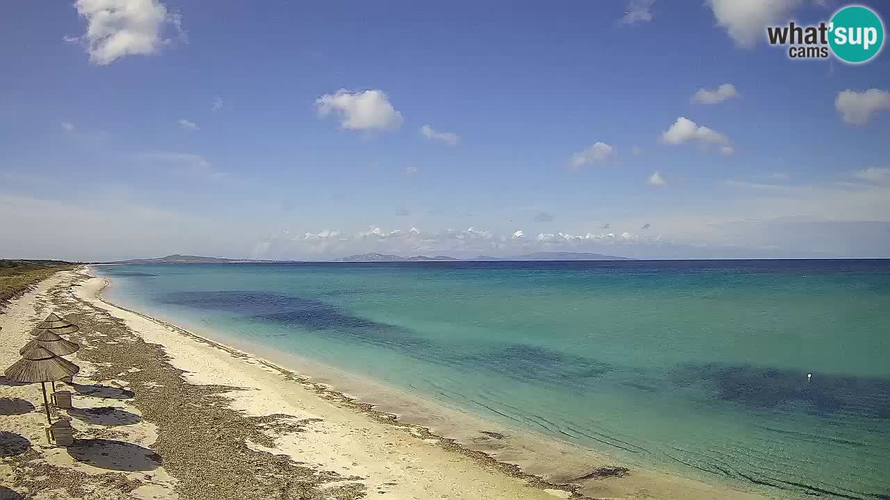 Plaža Le Saline web kamera Stintino – Sardinija