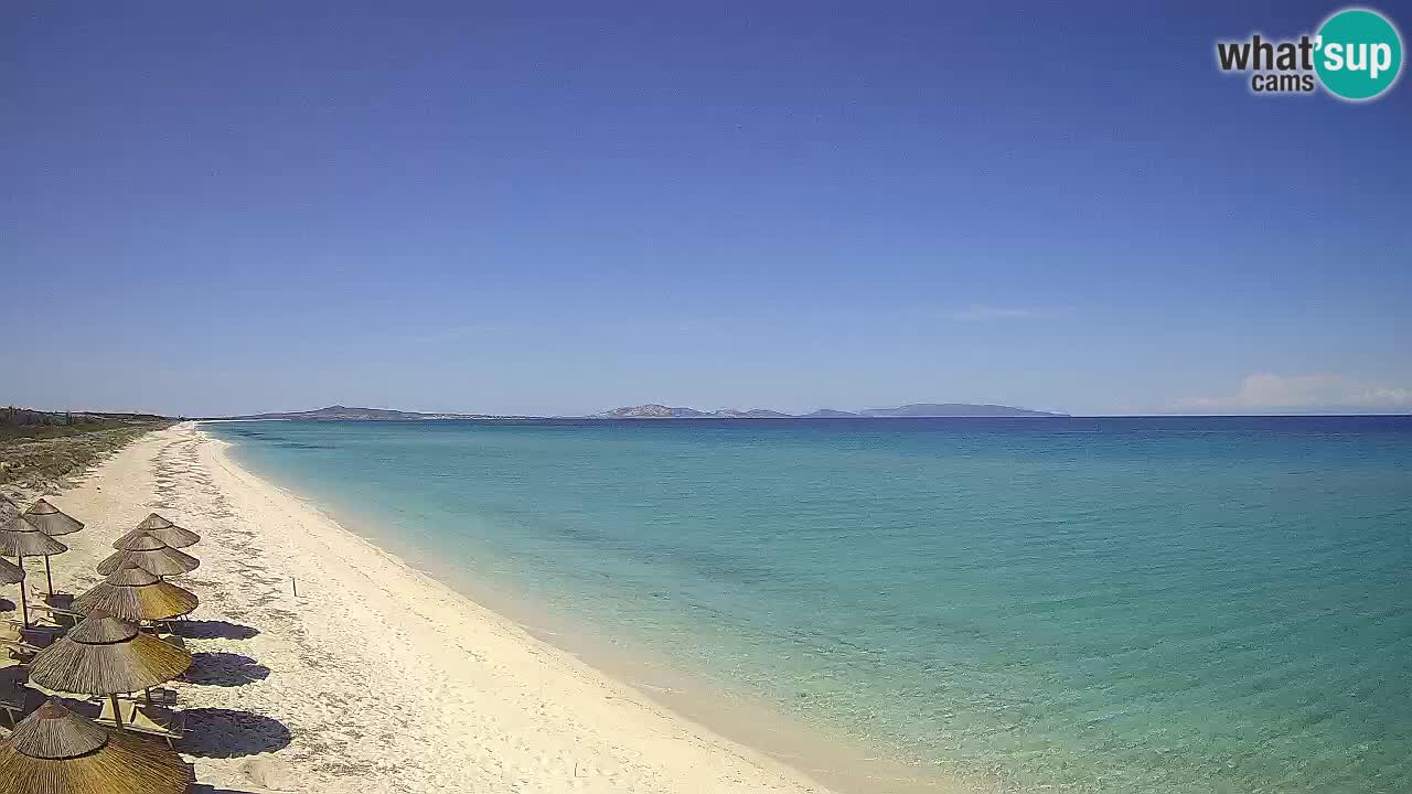 Plaža Le Saline spletna kamera Stintino – Sardinija