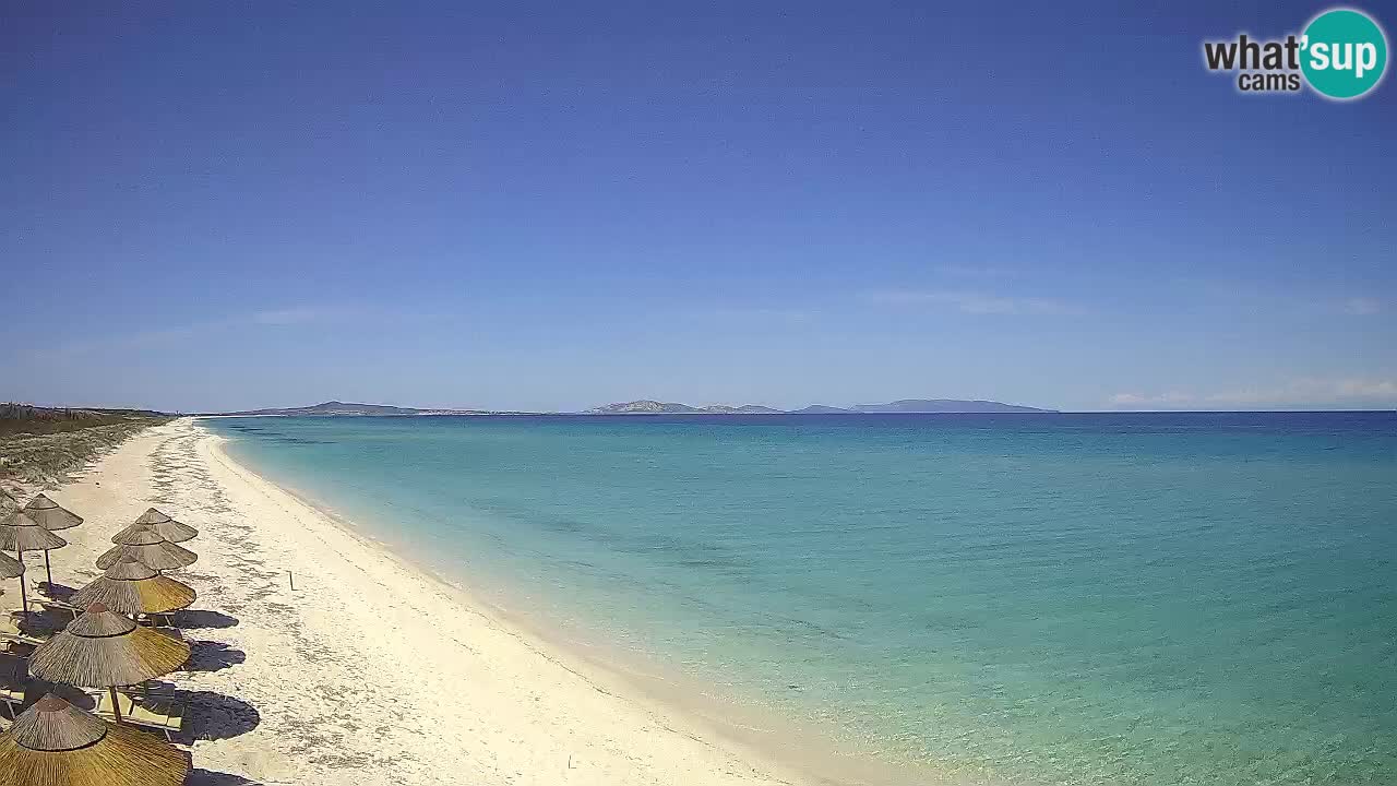 Beach Le Saline webcam live Stintino – Sardinia