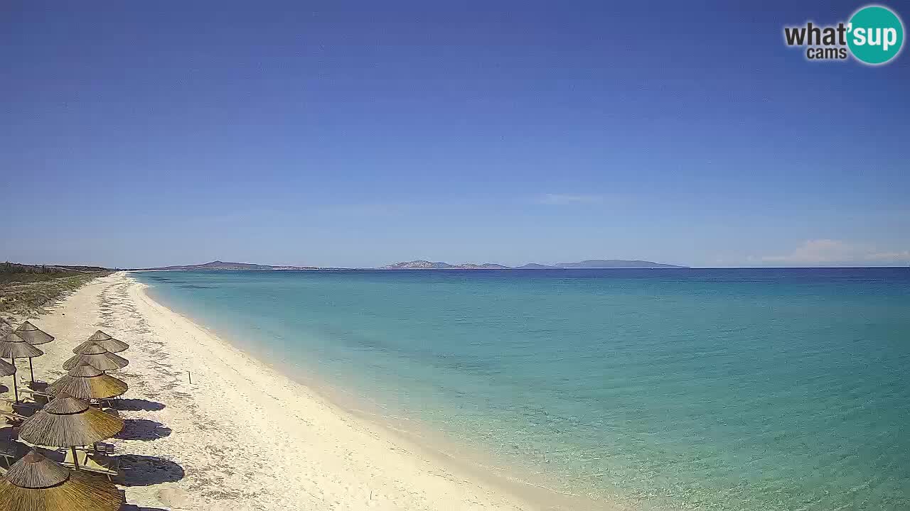 Plaža Le Saline spletna kamera Stintino – Sardinija