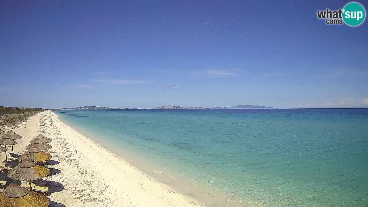 Plaža Le Saline spletna kamera Stintino – Sardinija