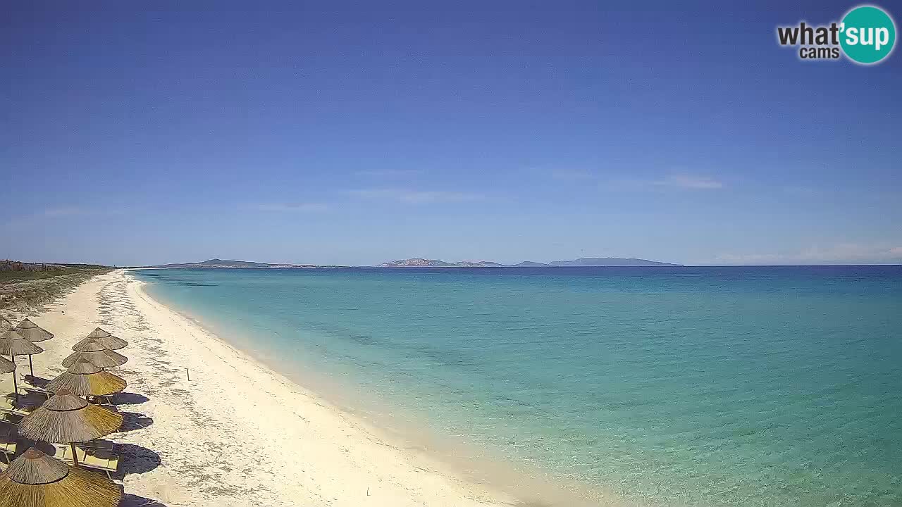 Strand Le Saline webcam Stintino – Sardinien