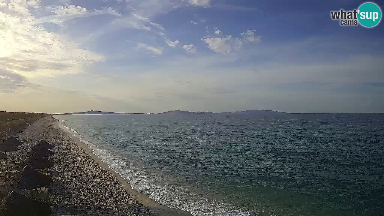 Strand Le Saline webcam Stintino – Sardinien