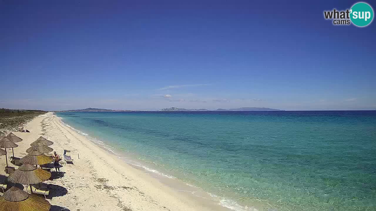 Plaža Le Saline web kamera Stintino – Sardinija