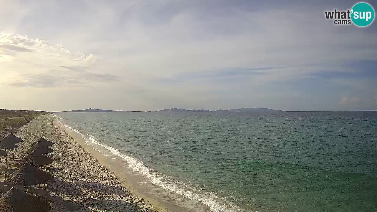 Plaža Le Saline spletna kamera Stintino – Sardinija