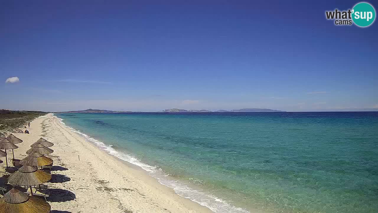 Playa Le Saline camera en vivo Stintino – Cerdeña
