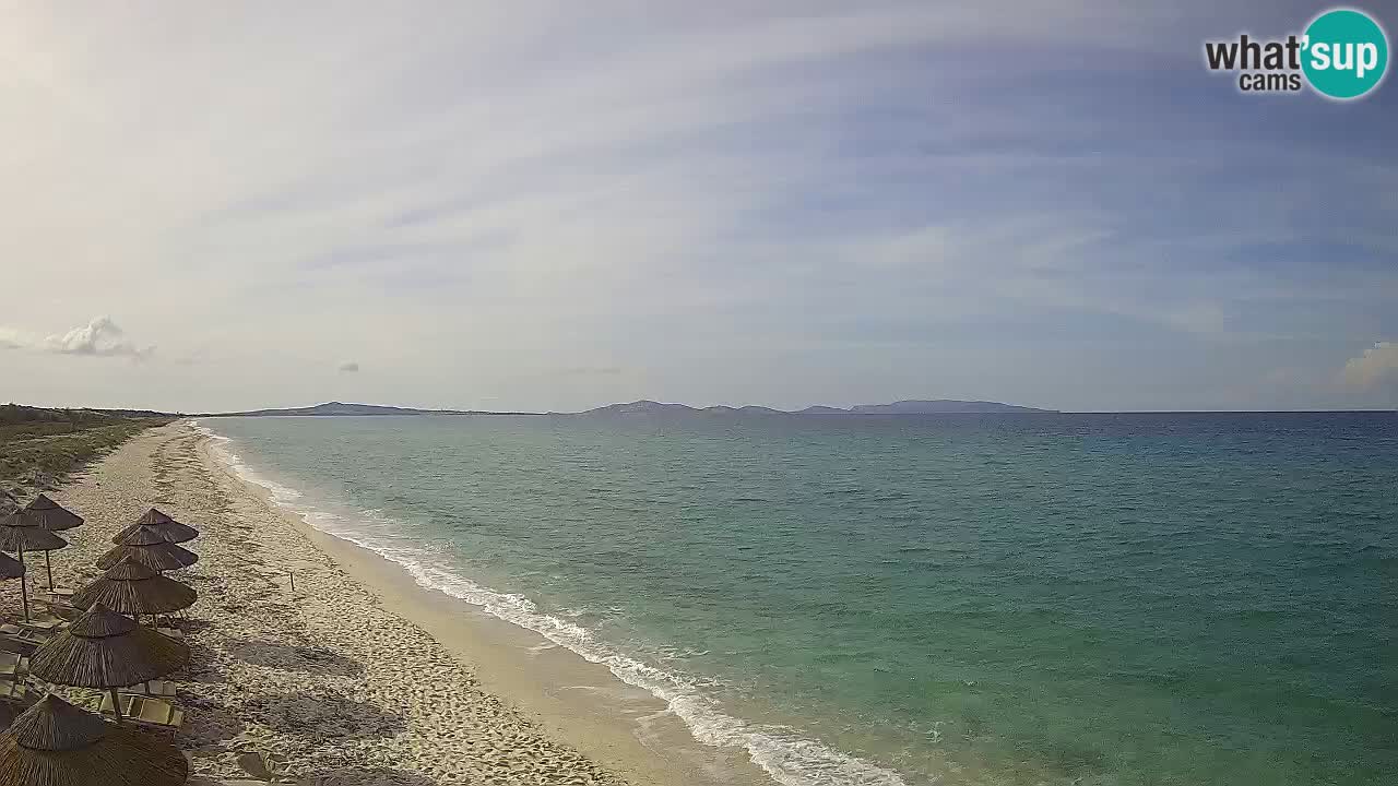Plage Le Saline Live cam Stintino – Sardaigne