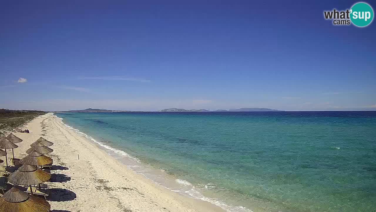 Plaža Le Saline web kamera Stintino – Sardinija
