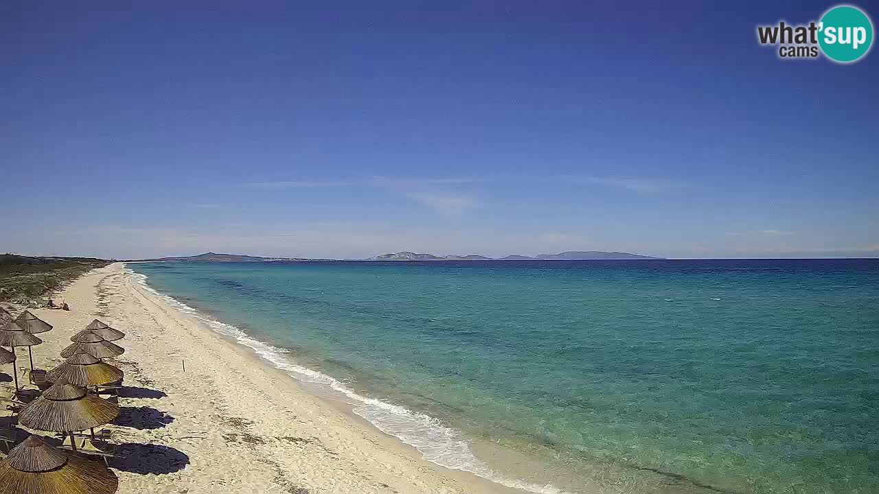 Playa Le Saline camera en vivo Stintino – Cerdeña