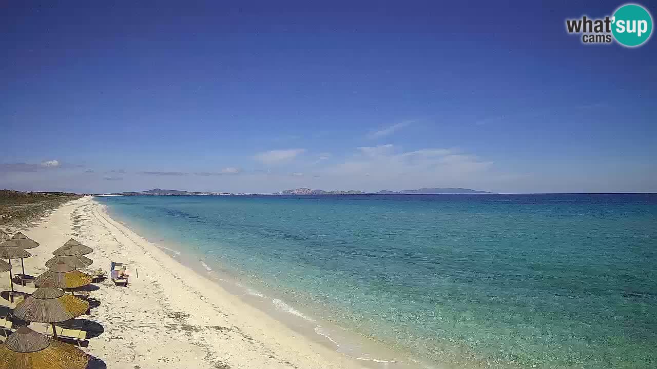 Plaža Le Saline web kamera Stintino – Sardinija