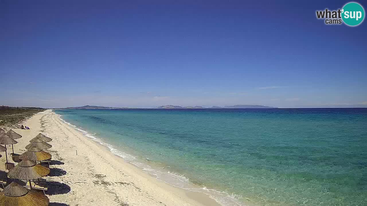 Spiaggia Le Saline webcam Stintino – Sardegna