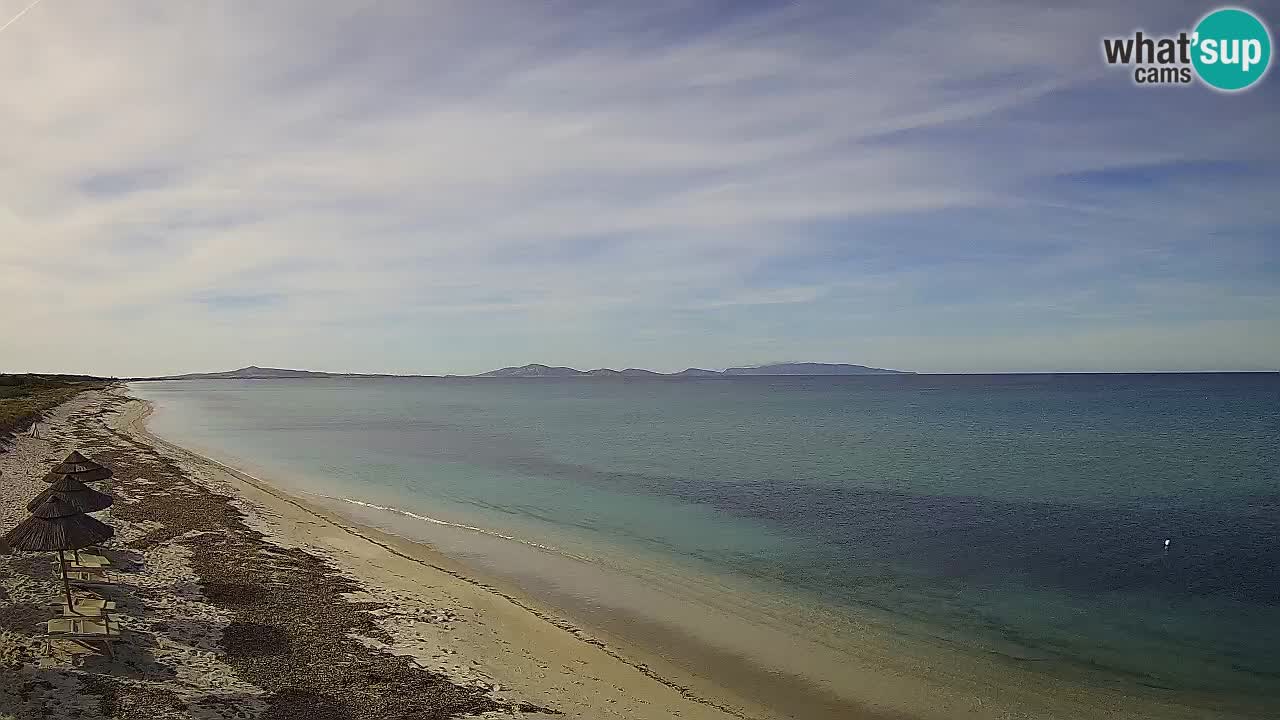 Beach Le Saline webcam live Stintino – Sardinia