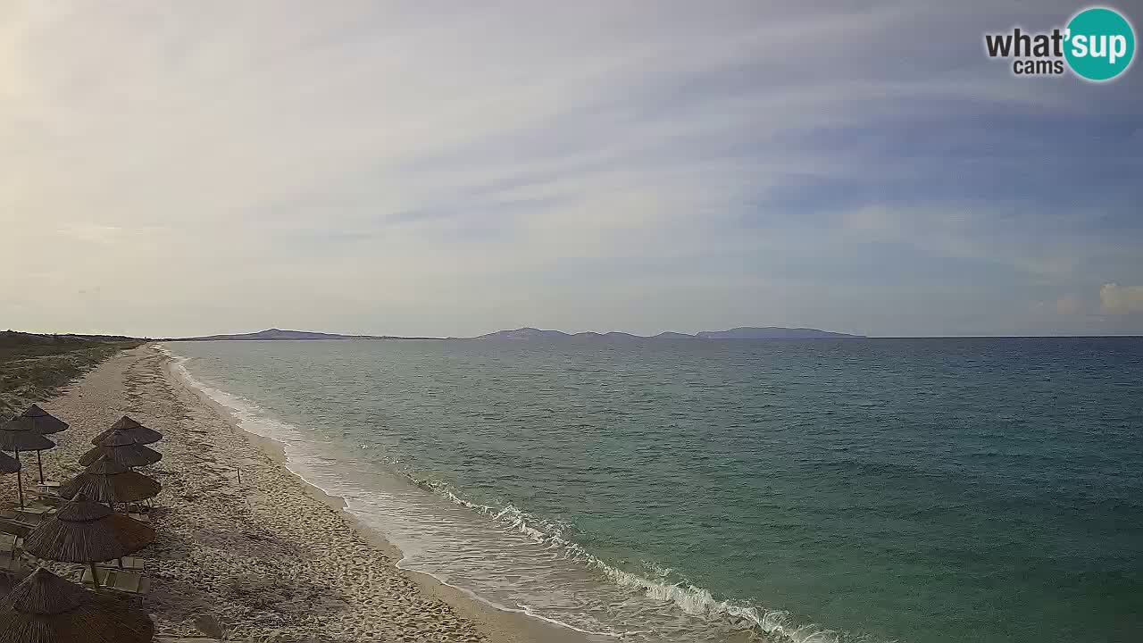 Beach Le Saline webcam live Stintino – Sardinia