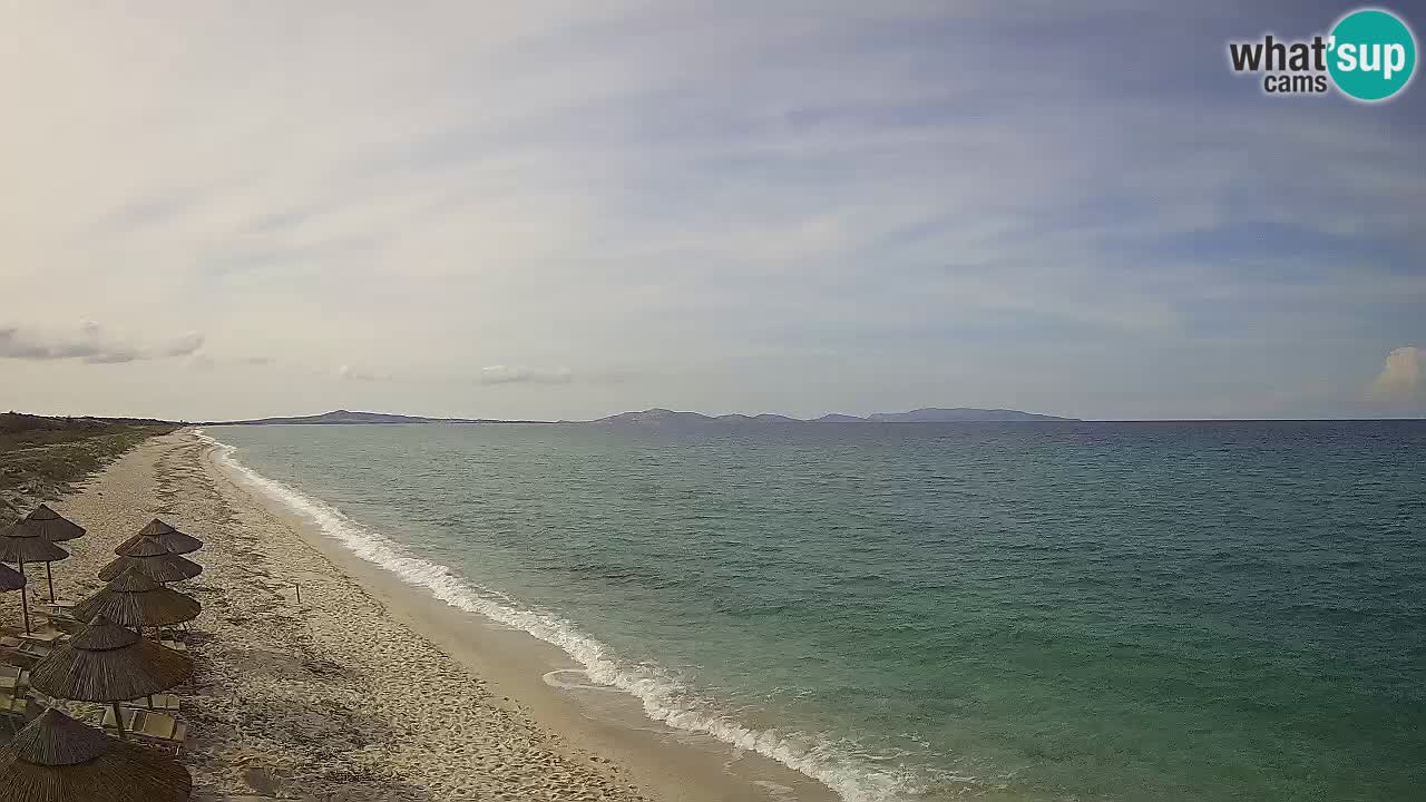 Strand Le Saline webcam Stintino – Sardinien