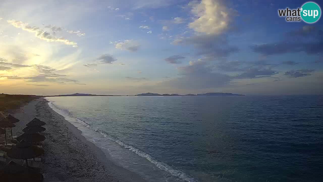 Beach Le Saline webcam live Stintino – Sardinia