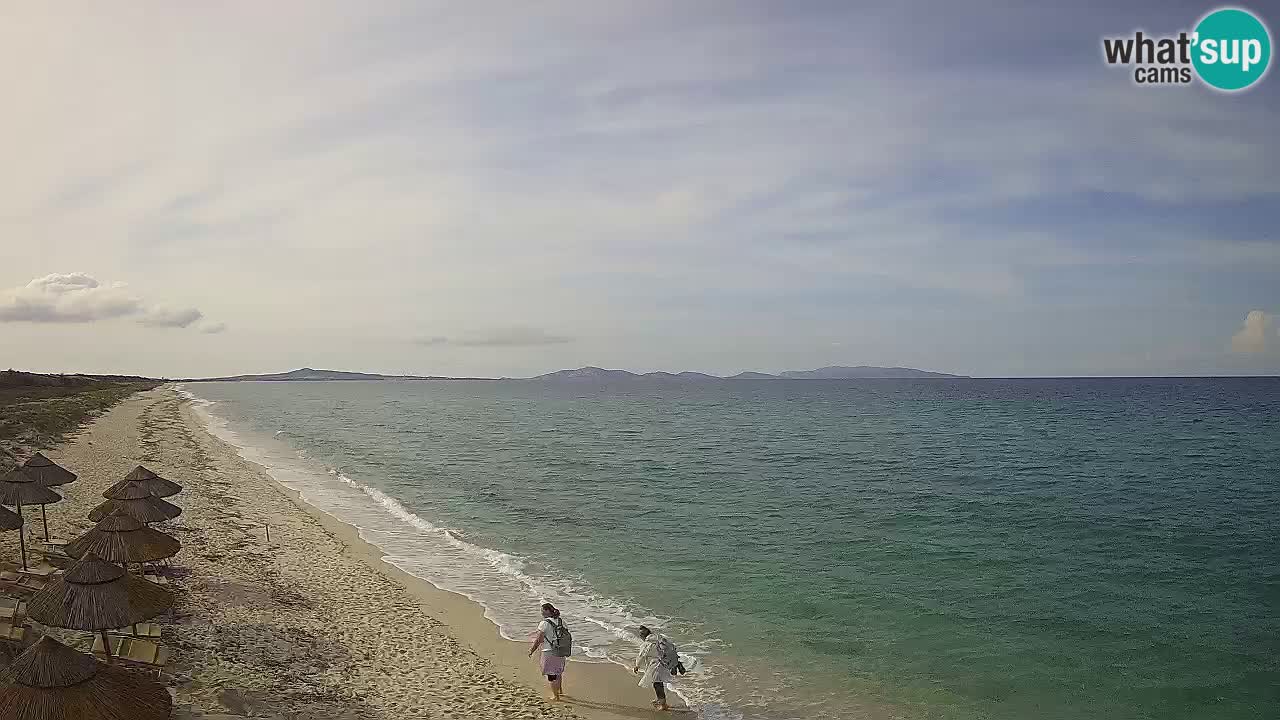 Playa Le Saline camera en vivo Stintino – Cerdeña
