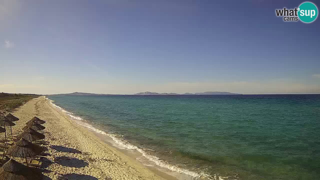 Spiaggia Le Saline webcam Stintino – Sardegna