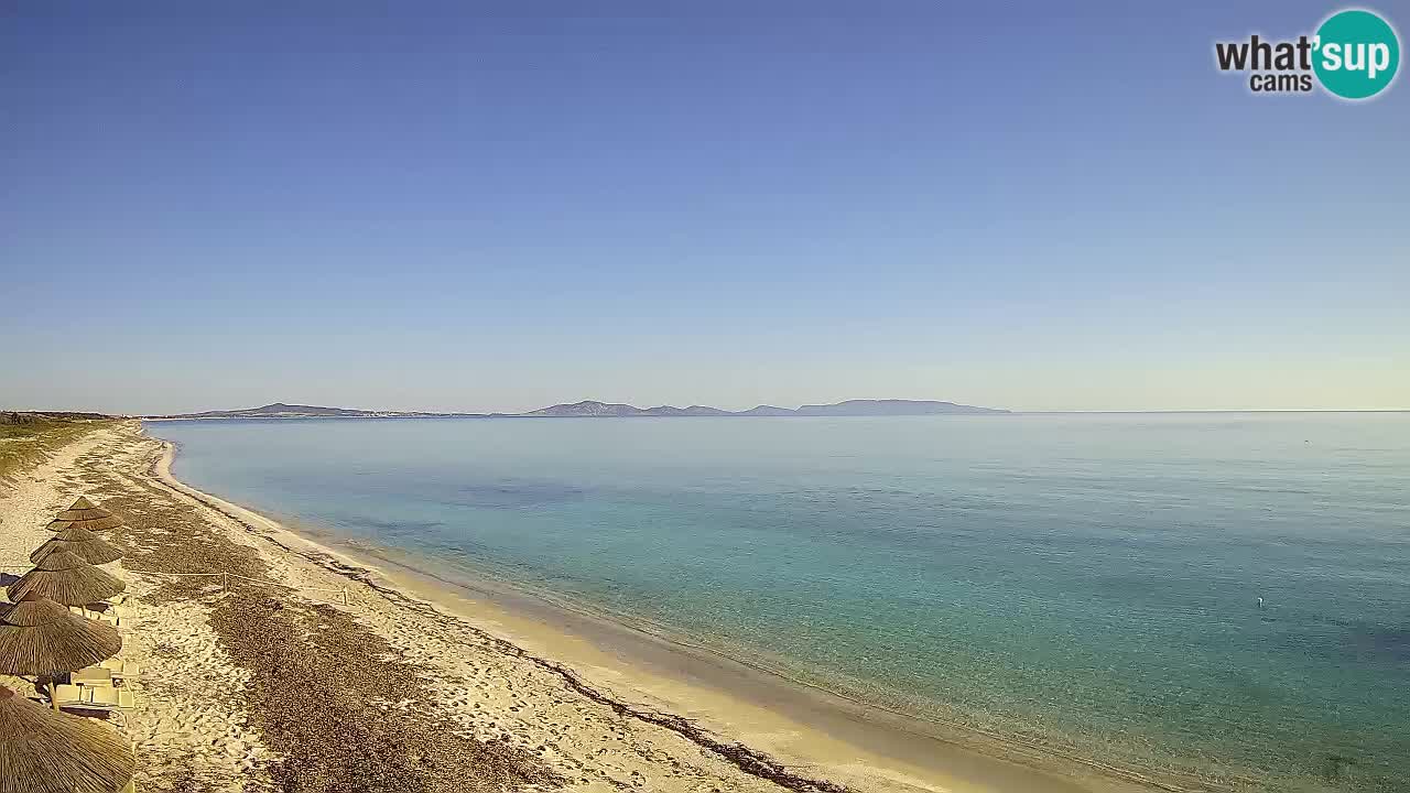 Plaža Le Saline spletna kamera Stintino – Sardinija