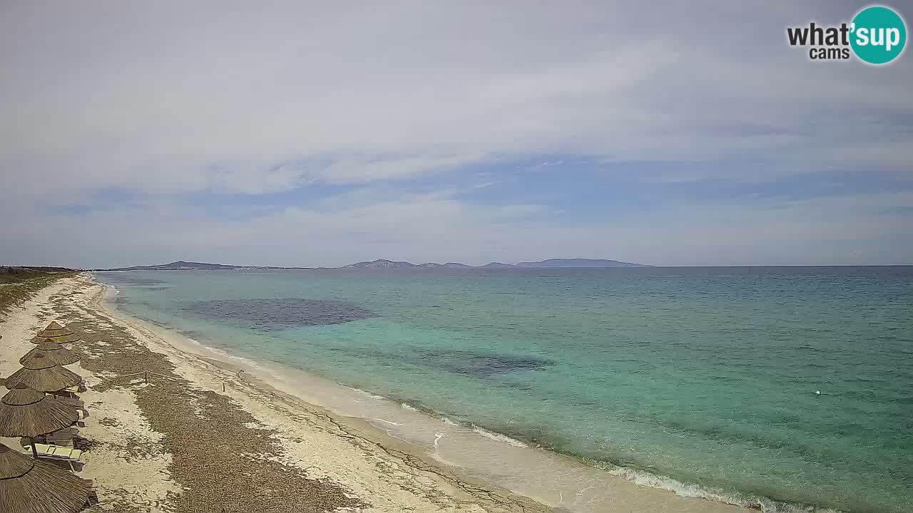 Playa Le Saline camera en vivo Stintino – Cerdeña