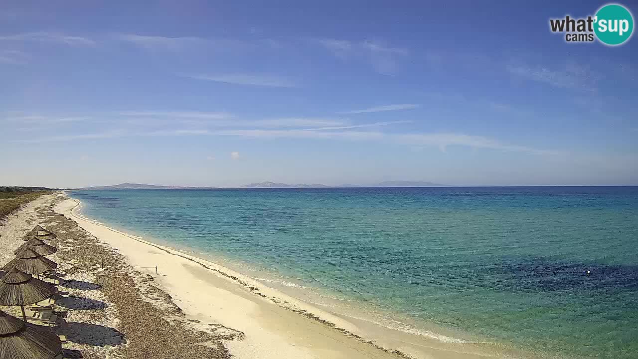 Plaža Le Saline spletna kamera Stintino – Sardinija