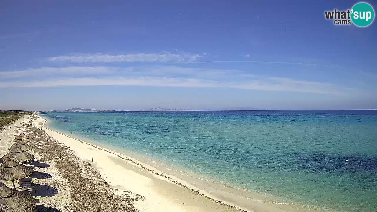 Strand Le Saline webcam Stintino – Sardinien