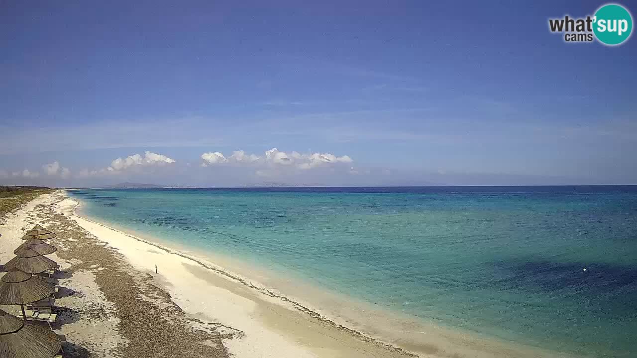 Plaža Le Saline web kamera Stintino – Sardinija