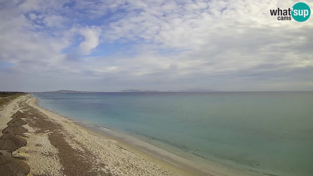 Playa Le Saline camera en vivo Stintino – Cerdeña