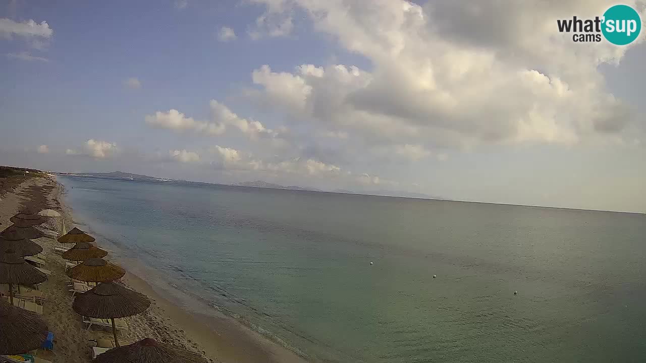 Plaža Le Saline spletna kamera Stintino – Sardinija