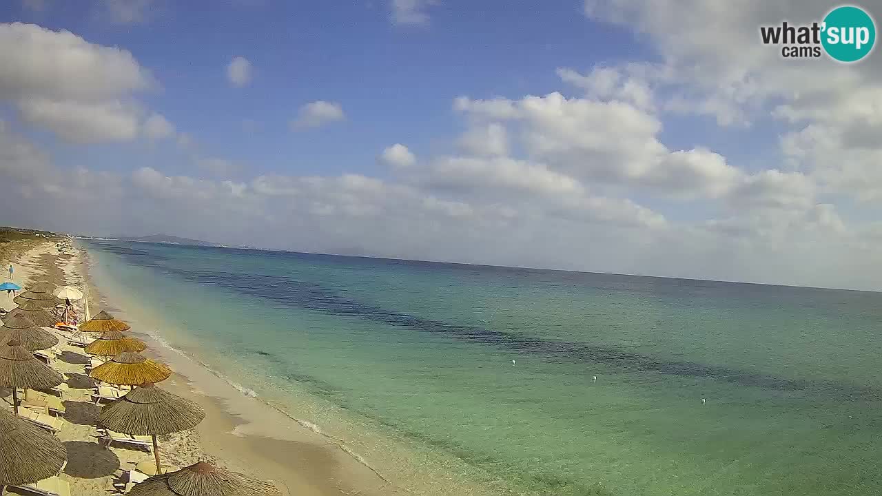 Plaža Le Saline web kamera Stintino – Sardinija