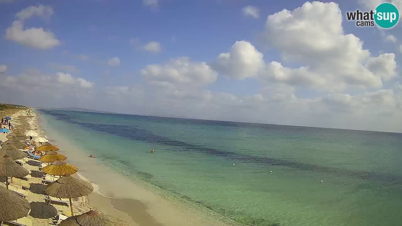 Plaža Le Saline web kamera Stintino – Sardinija