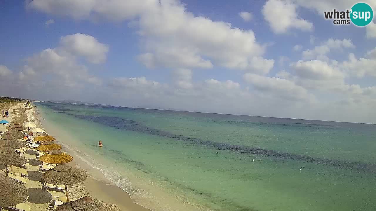 Plaža Le Saline spletna kamera Stintino – Sardinija