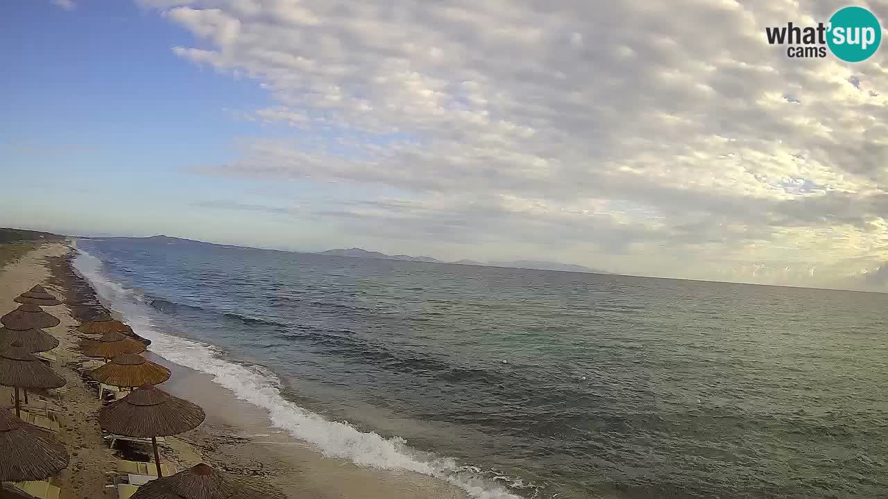 Beach Le Saline webcam live Stintino – Sardinia