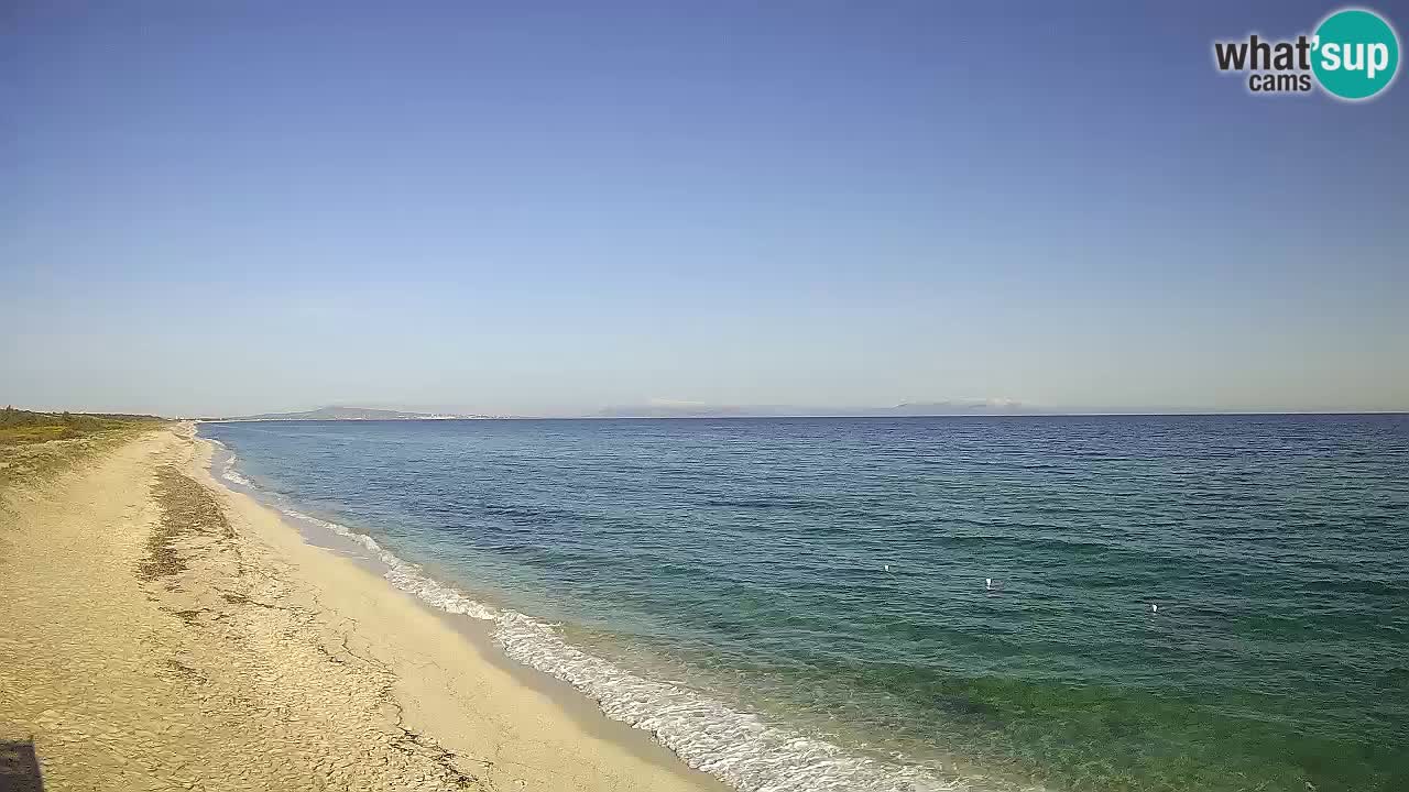 Beach Le Saline webcam live Stintino – Sardinia