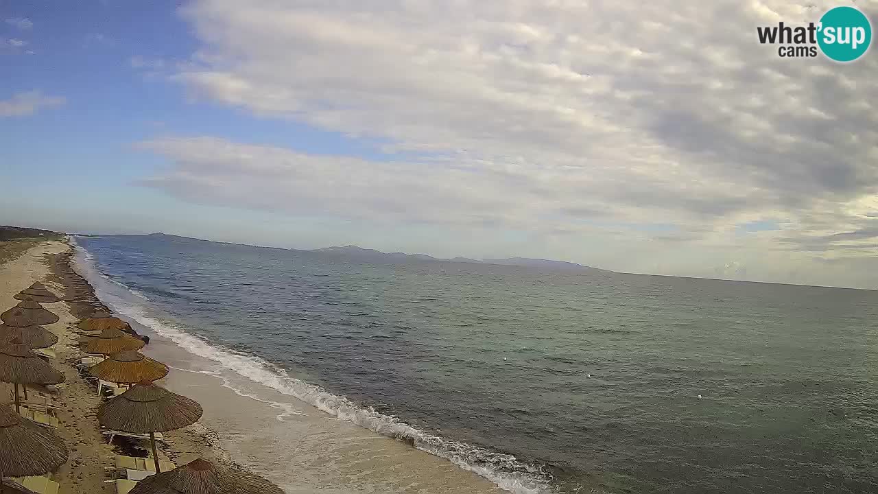 Playa Le Saline camera en vivo Stintino – Cerdeña