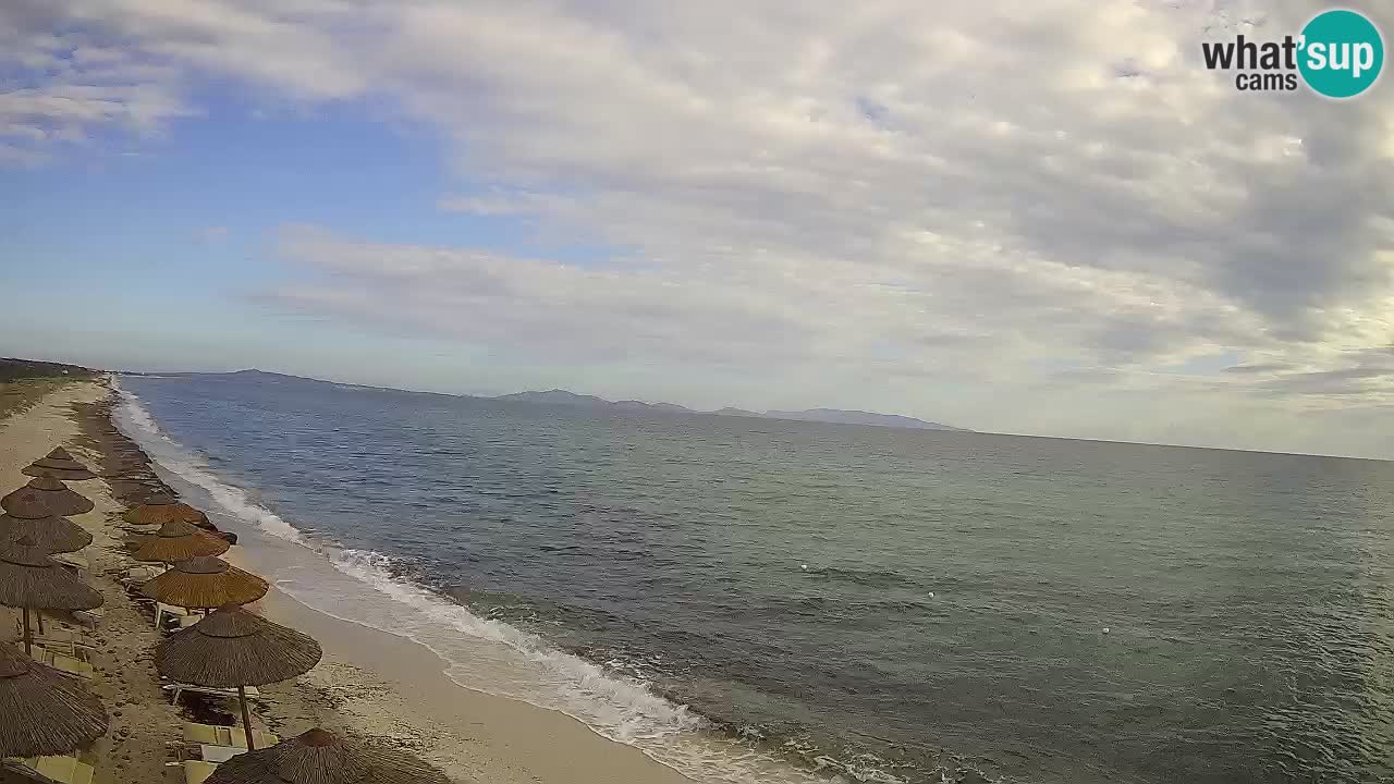 Beach Le Saline webcam live Stintino – Sardinia