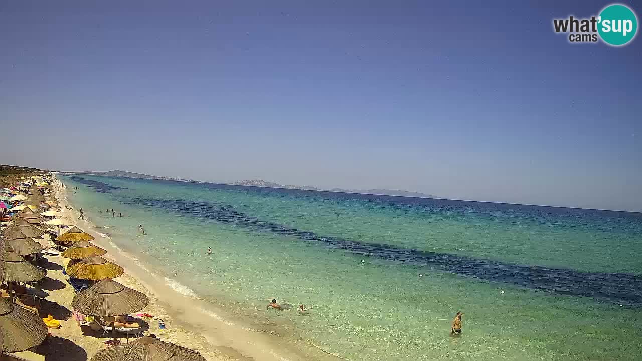Strand Le Saline webcam Stintino – Sardinien