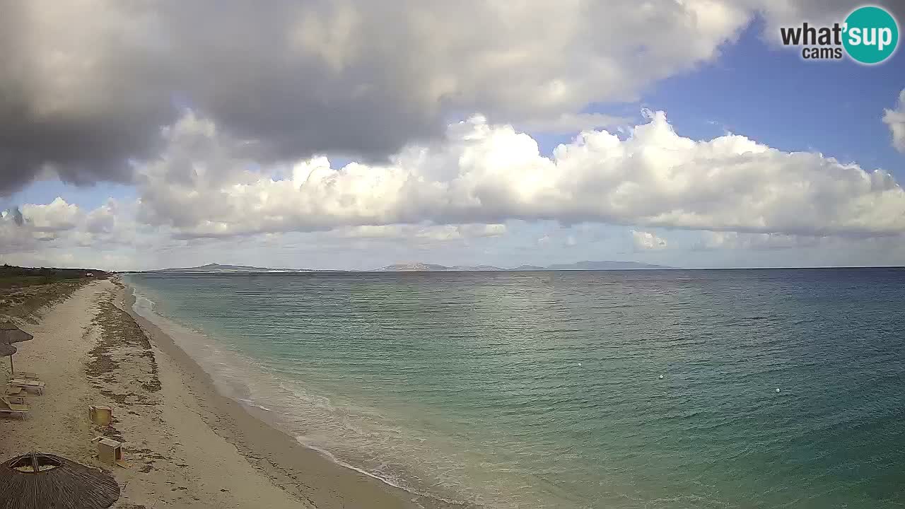 Plaža Le Saline spletna kamera Stintino – Sardinija