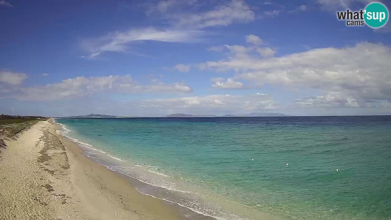 Spiaggia Le Saline webcam Stintino – Sardegna